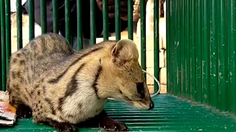 DeshGujarat on Twitter: DeshGujarat on Twitter: