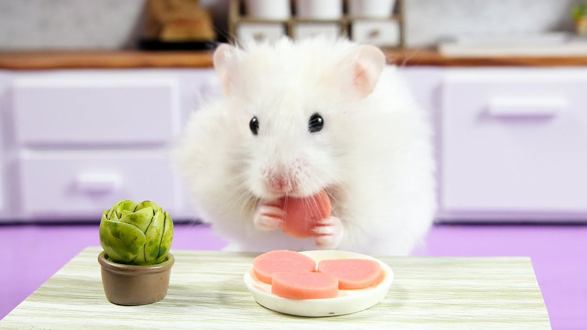 MinaEllen94's tweet photo. How to make Fried Sausage with Bonie Hamster https://t.co/jaVj7vzsm9
#likeforlike #follobackforfolloback #pets #cute #food #challenge #adorable #Creative #ToyStory #games #DIY #miniatures #HandmadeInUK #kitchens #ChristmasIsComing #sausage https://t.co/hq8APYiaWH