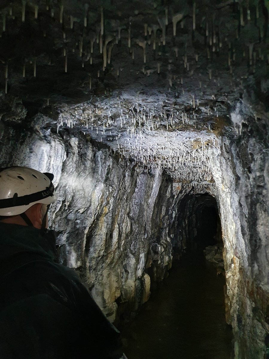 PinpointTom's tweet photo. Fantastic underground lead mine adventure in Smallcleugh mine and Rampgill at Nenthead with Paul yesterday.
@TabbMal @CaverPete @NorthPennAONB @WeardaleAC @HydramEng https://t.co/H6BhrusKe6