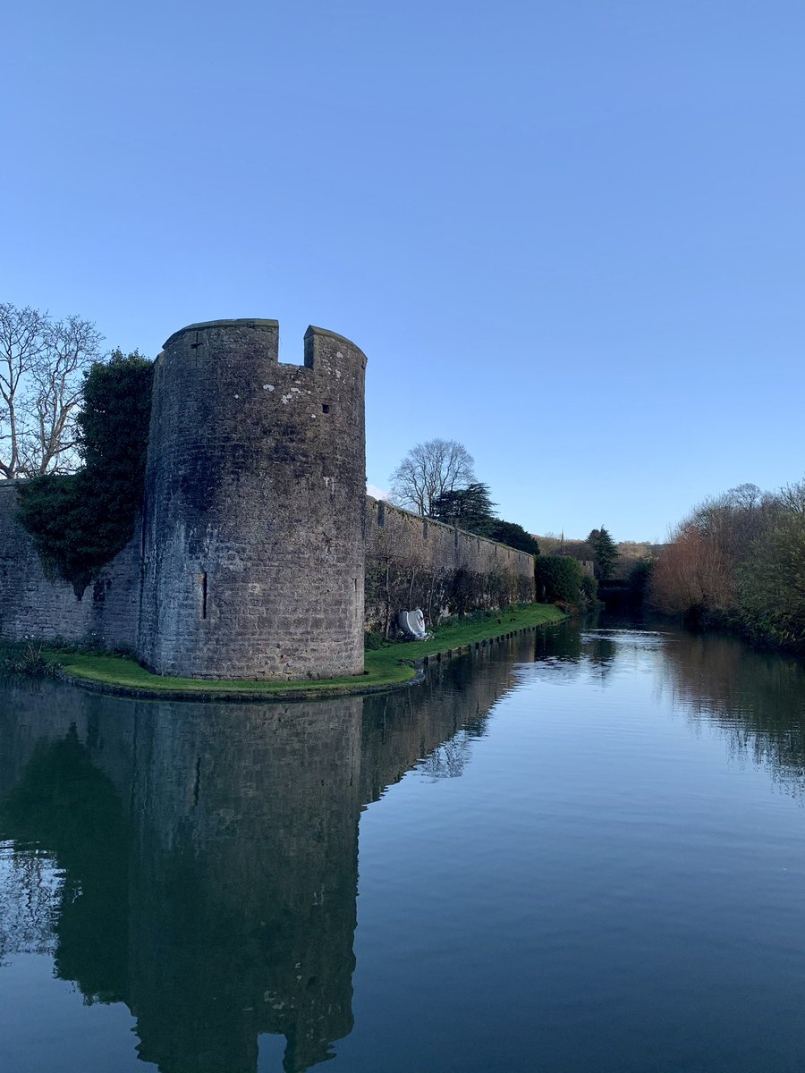 Webbers12's tweet image. A few snaps on the school run this morning 🌞