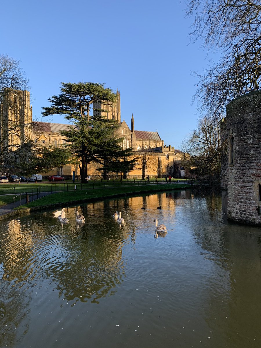 Webbers12's tweet image. A few snaps on the school run this morning 🌞