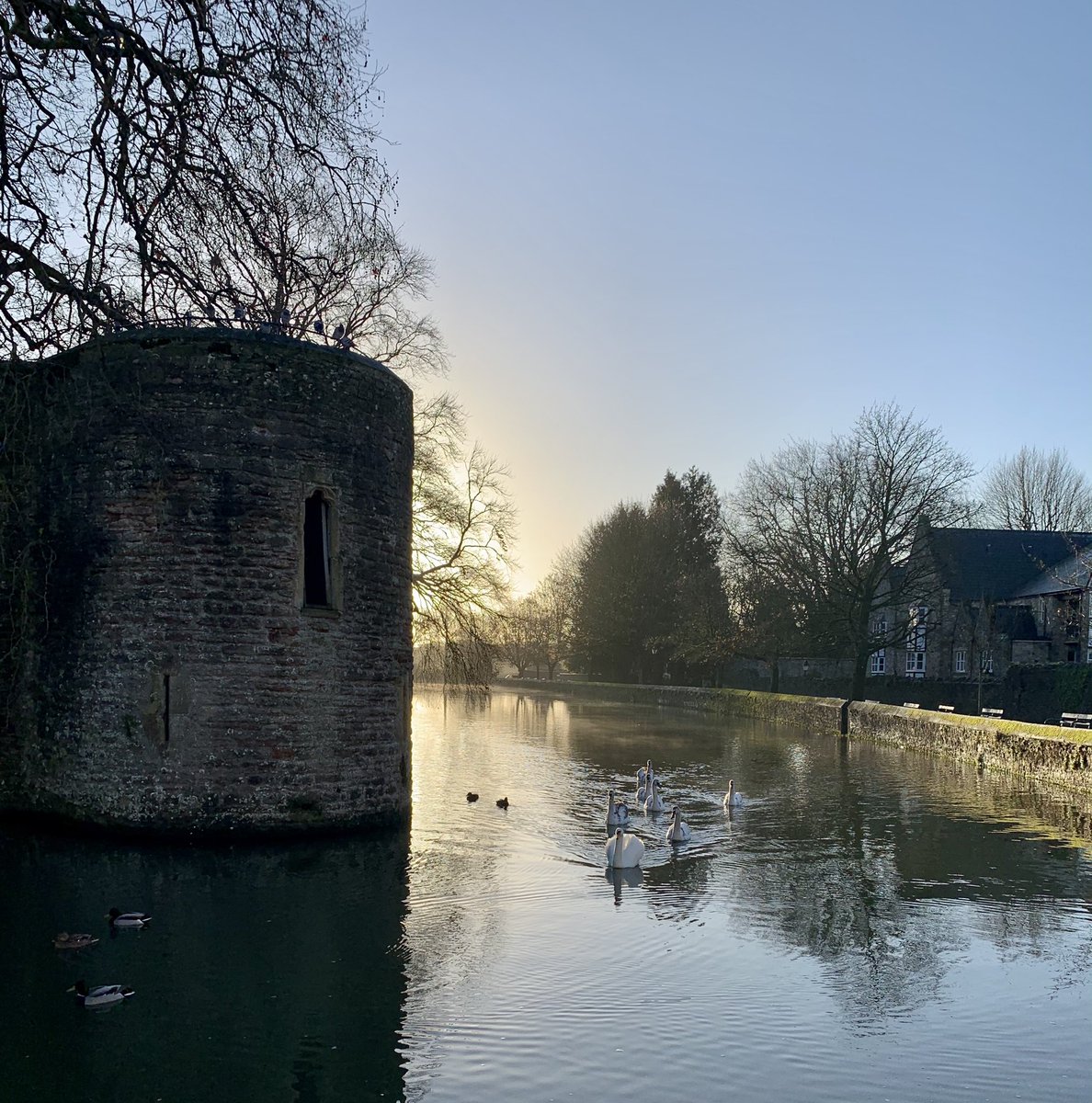 Webbers12's tweet image. A few snaps on the school run this morning 🌞