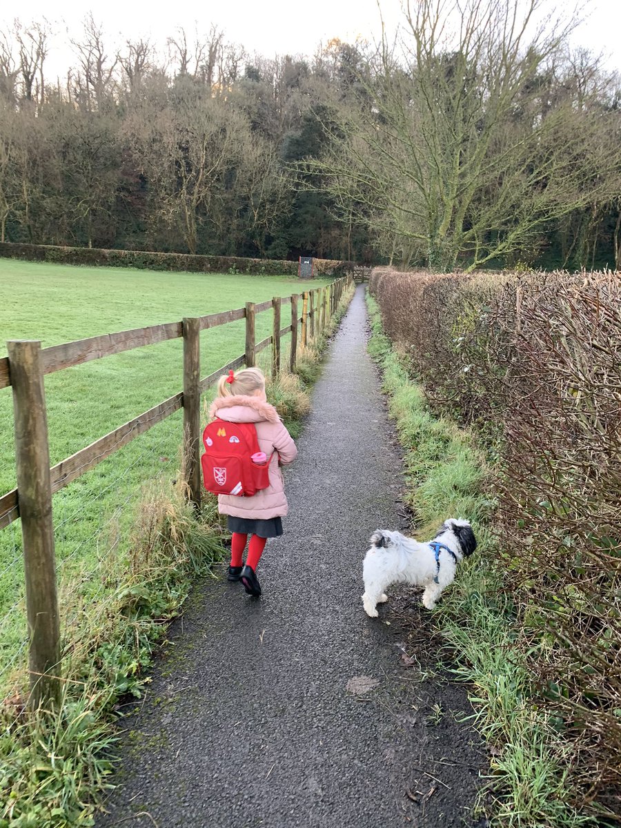 Webbers12's tweet image. A few snaps on the school run this morning 🌞