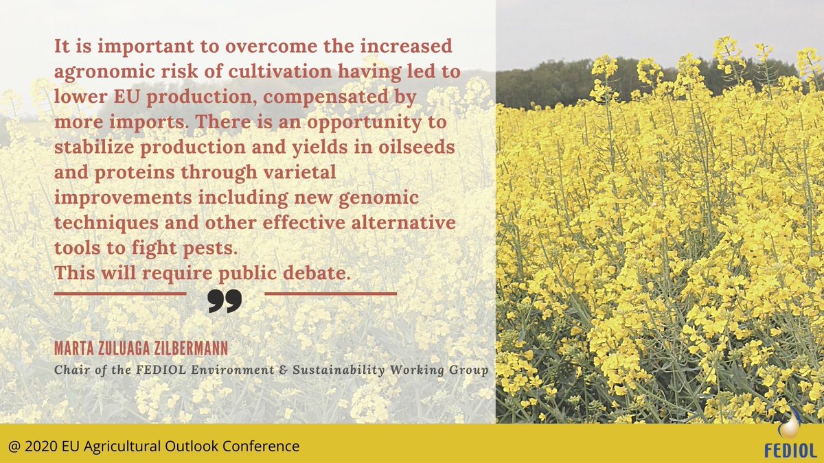 It is important to overcome the increased agronomic risk linked to cultivation which already lead to lower 🇪🇺 #rapeseed production. 

#EUFarm2Fork #EUGreenDeal #AgriOutlook