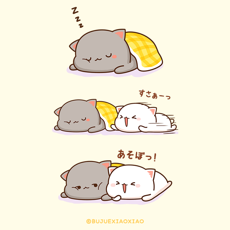 ももねこちゃんとごまくん あそびたかったのに なんだかねむたくなっちゃったよ ももねこちゃん ねこ おやすみ