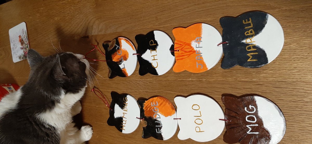 MellysHandmade's tweet image. Finished cat decorations 😺 I had help with taking the pictures! These don't have to be just for Christmas they'd make a purrfect gift all year round 💖
These take approximately 5 days to make all I need is a face on picture of your furry friend Please DM for more #craftbizparty