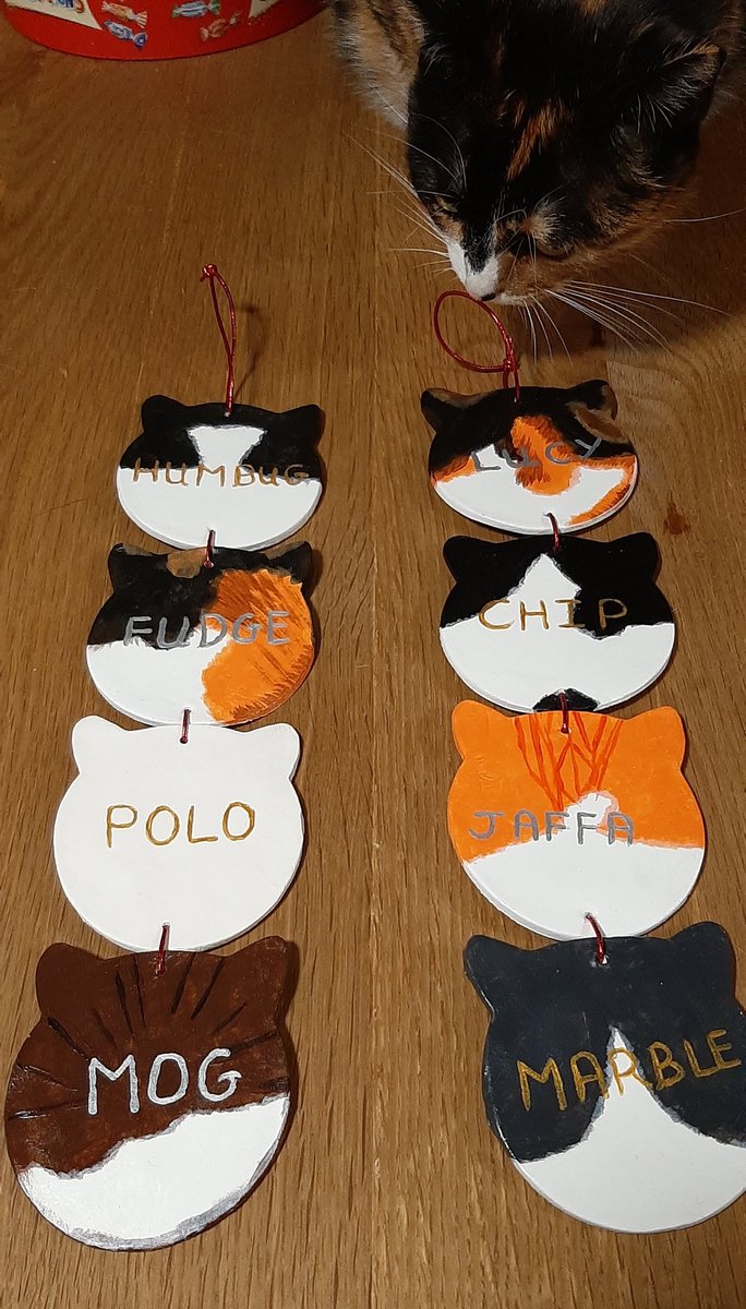 MellysHandmade's tweet image. Finished cat decorations 😺 I had help with taking the pictures! These don't have to be just for Christmas they'd make a purrfect gift all year round 💖
These take approximately 5 days to make all I need is a face on picture of your furry friend Please DM for more #craftbizparty