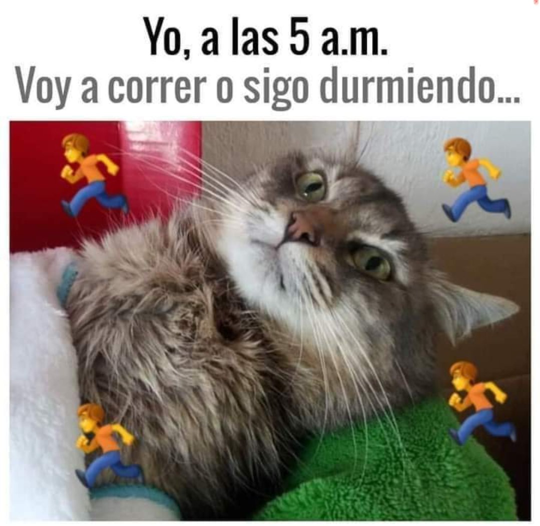 Oscar Cu (@oscarcuray2) on Twitter photo 