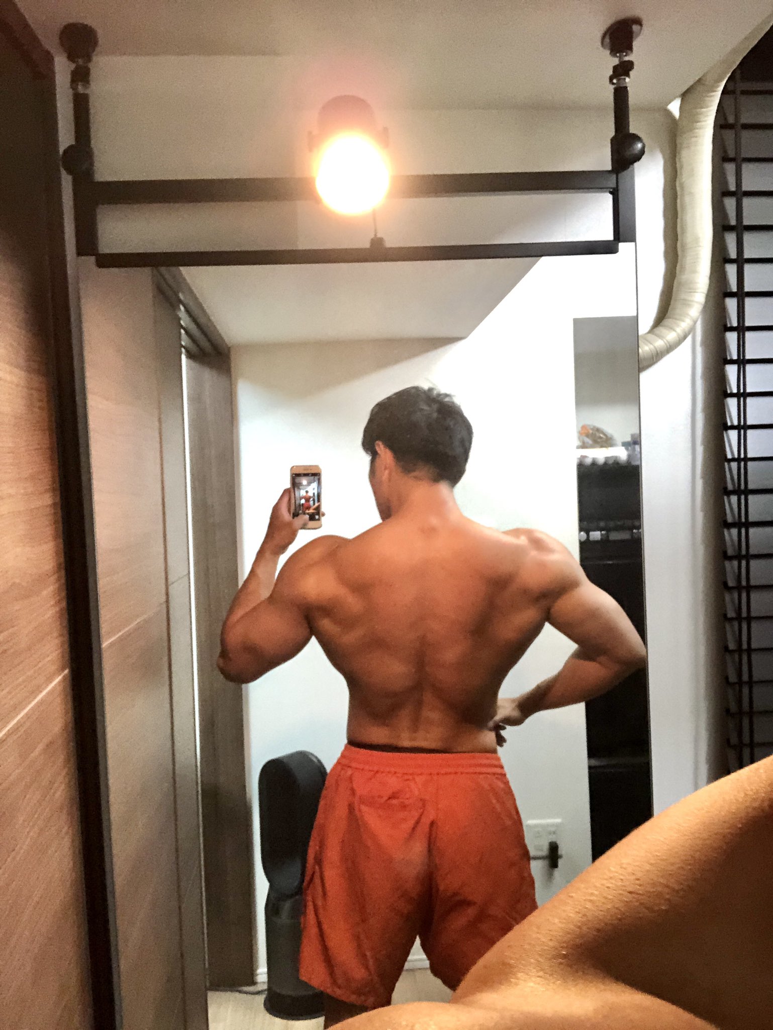 コアラ小嵐 Youtuber 広げた広背筋を前から見た時に直線ではなくカーブを描くようになったのは成長を感じる パンプしてるからやけど でも成長してる T Co Akatejpn Twitter