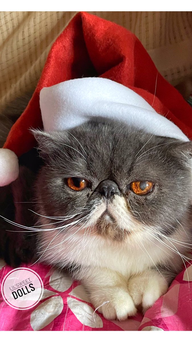lovecrochet's tweet photo. Feliz Navidad https://t.co/6qfgPp76oB