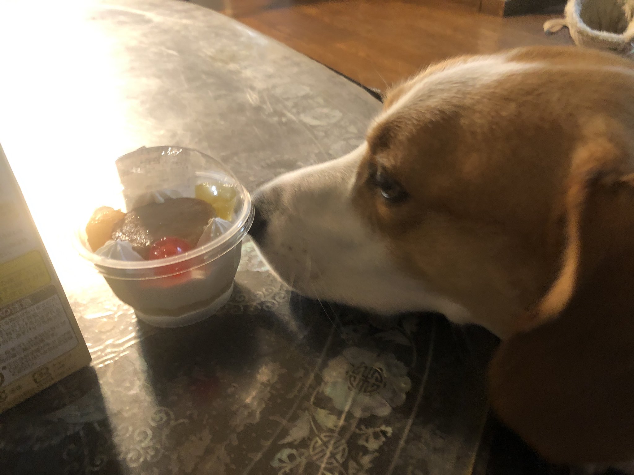 See Ddmskn129 S Tweet Twitter