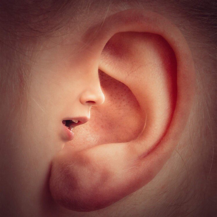 Are the results of your location recording less than ideal? Let us assist you to achieve high quality recordings when remote environments are a challenge        #Audio #recording #voiceover #ADR