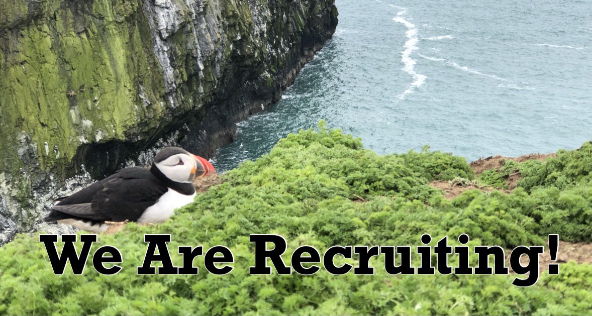 WildlifeTrustSWWales ๐ฆก๐ฌ (@wtsww) on Twitter photo ๐ฃ๐๐ฝโโ๏ธWe Are Recruiting!๐๐ผโโ๏ธ๐ฃ
Jobs like this donโt come around everyday! We are recruiting for the following positions on our amazing Skomer Island!๐๐ผ๐ง๐ฆ๐ฆ
๐ง Skomer Island Warden
๐ธ Skomer Island Asst Warden
๐๐ปโโ๏ธ Skomer Island Visitor Officer
For info ๐๐ผwelshwildlife.org/about-us/jobs/ ๐ฃ๐๐ฝโโ๏ธWe Are Recruiting!๐๐ผโโ๏ธ๐ฃ
Jobs like this donโt come around everyday! We are recruiting for the following positions on our amazing Skomer Island!๐๐ผ๐ง๐ฆ๐ฆ
๐ง Skomer Island Warden
๐ธ Skomer Island Asst Warden
๐๐ปโโ๏ธ Skomer Island Visitor Officer
For info ๐๐ผwelshwildlife.org/about-us/jobs/