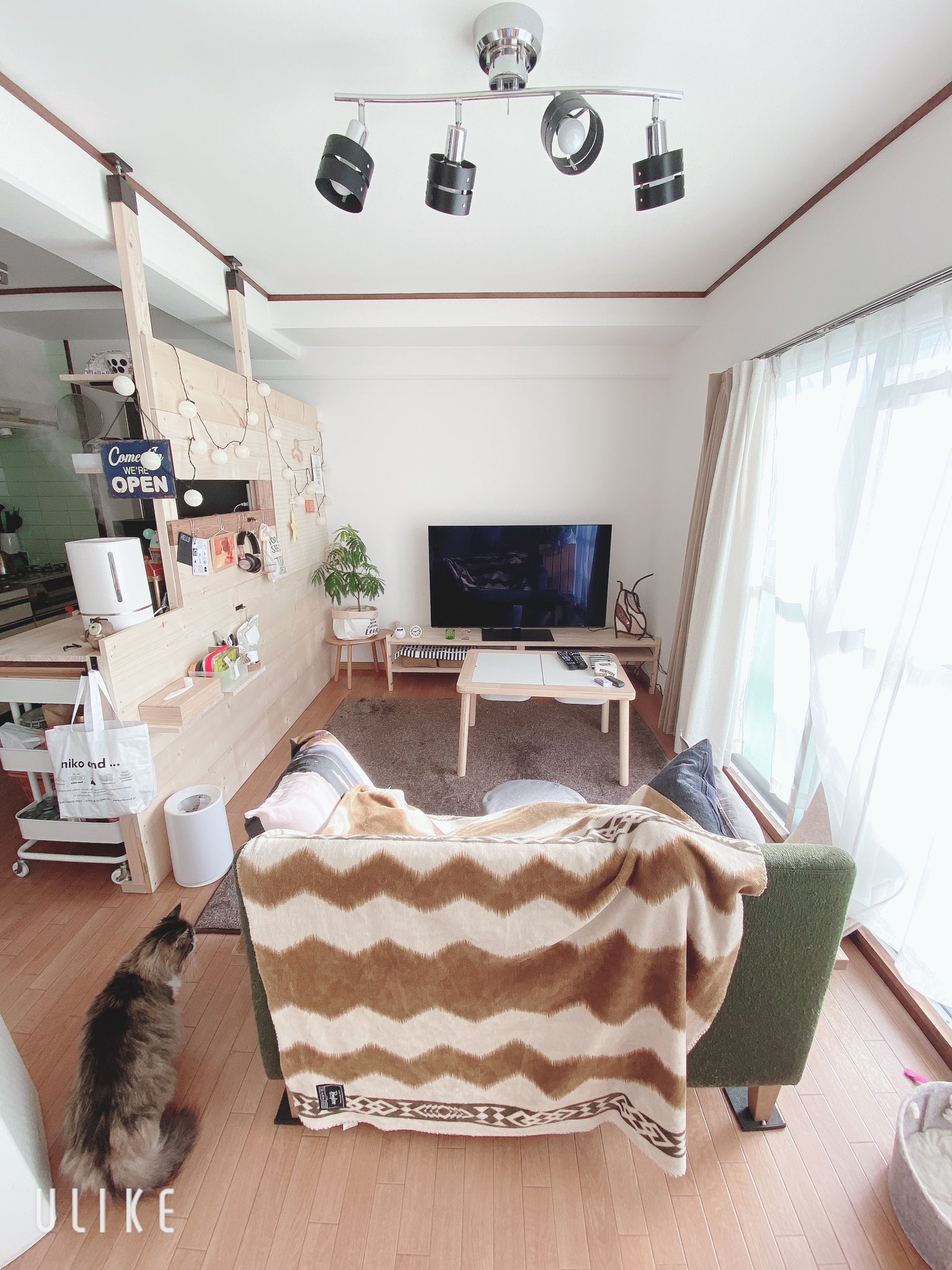 Marucrer Diy 新居でまたまた新しく改造計画 キッチンとリビングの間仕切り棚とニャンズのおトイレ棚作りました 前の家から持ってきた材料だけで作ったから今回は0円 自分の作業机作んなきゃ Marucrer ラブリコ 間仕切り Diy T Co