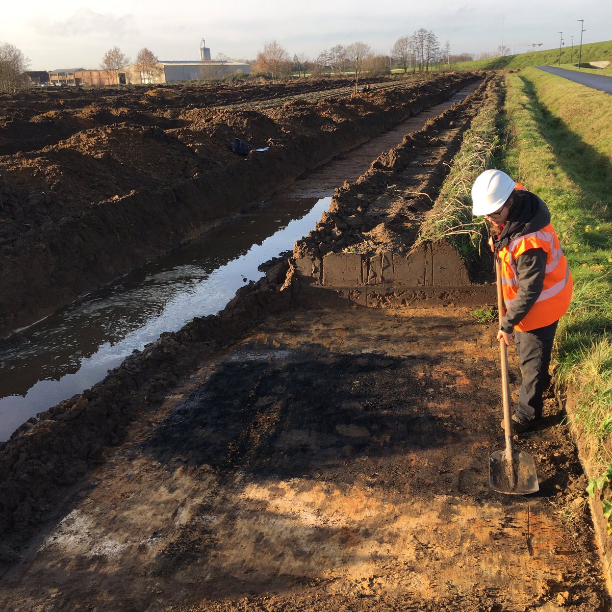 De Logi & Hoorne tweet media