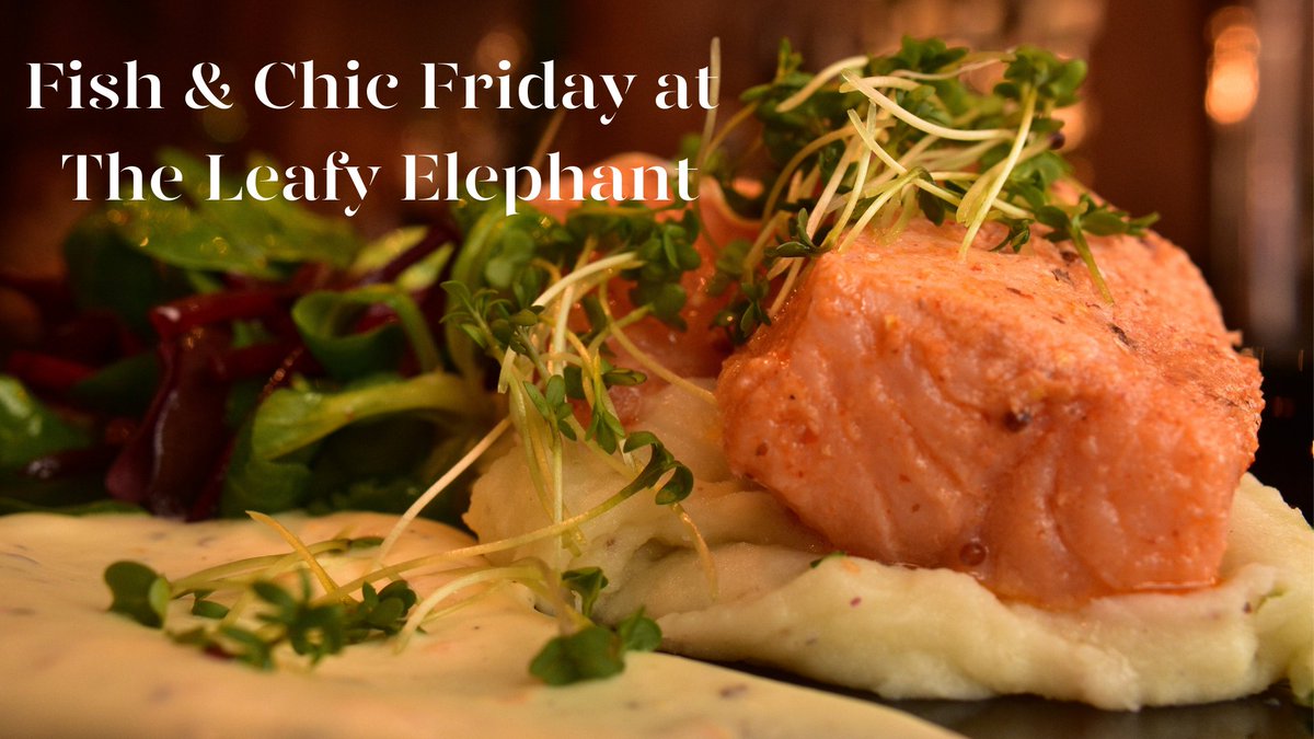 LeafyElephant's tweet image. Still time to book in for our Fish &amp;amp; Chic dinner this Friday! Give us a call 0118 334 2623 or book through our website 🥂🍲🎄🥳 leafyelephant.com/bookings