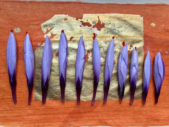 babelmasks's tweet photo. FRESH on the Babelmasks website: this week: our featured artist, Raye Schwartz. Click the link to view their in-depth interview and vivid textile work! (Image: “Saffron” by Taye Schwartz: all rights reserved.) 

https://t.co/uV6moWxMOw https://t.co/BtbUtTefhJ