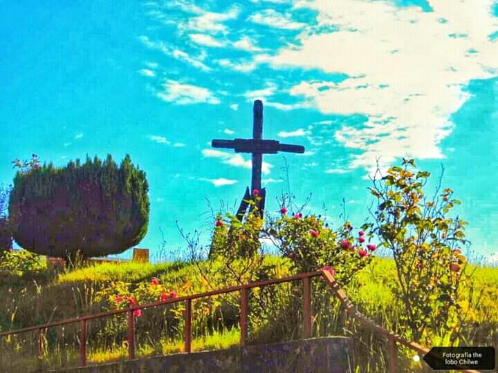 ChilweThe's tweet photo. Cuando los recuerdos y la fe se mantienen en pie. #iglesia #Fotos #photo #fotografia #foto #photography #fotorecuerdo #foteando https://t.co/DhSWwUQstK
