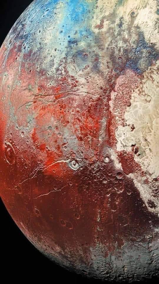 Broccoli Heaux tweet media