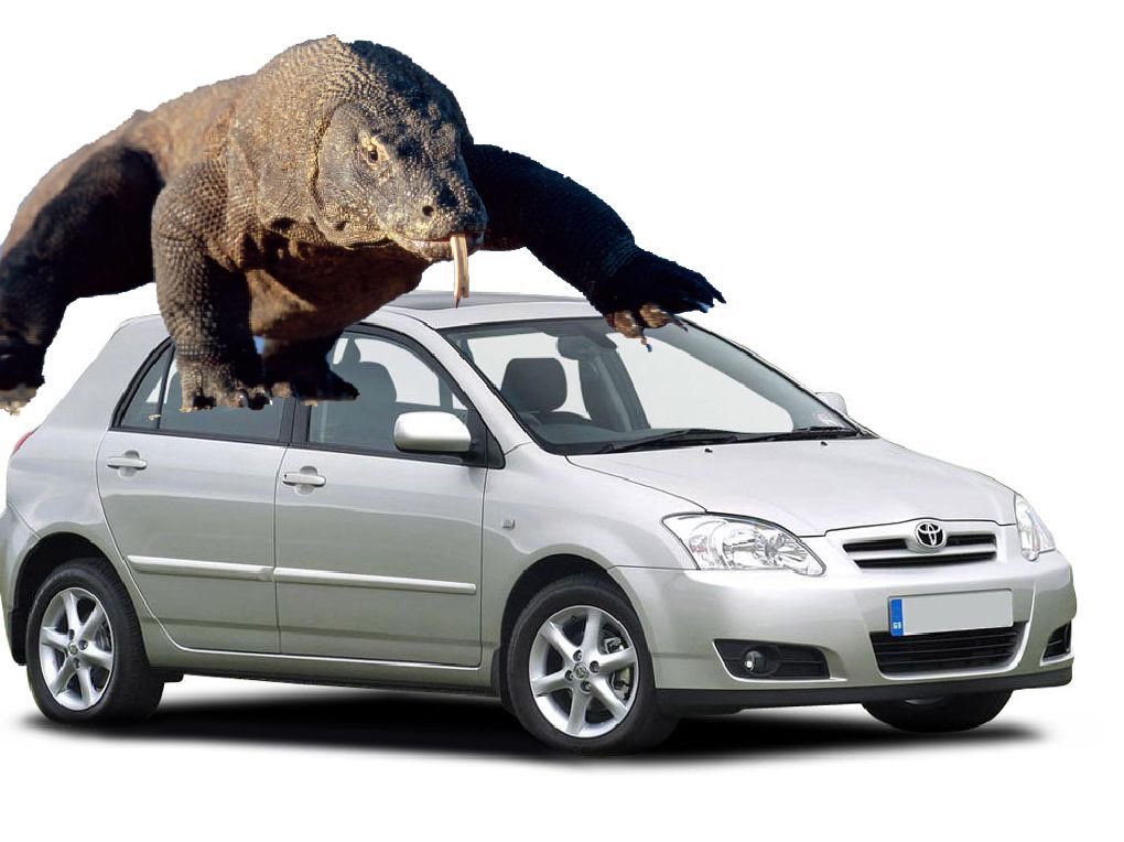 🎵 Tim Blais 👨🏻🔬 tweet media