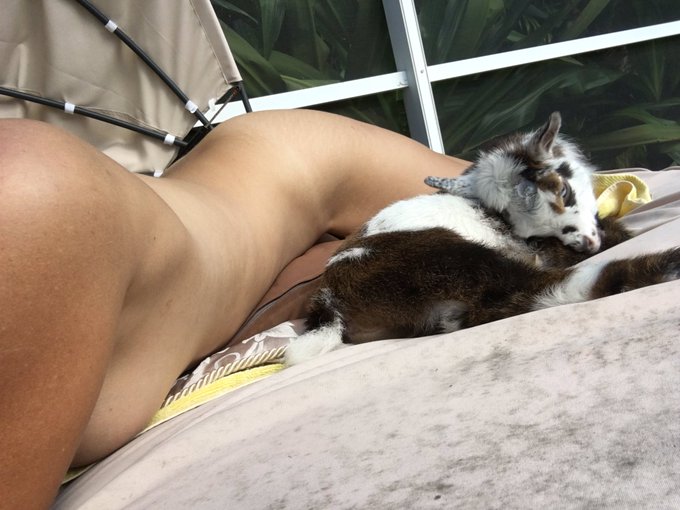 Don&rsquo;t mind our naked Butts sun bathing. We&rsquo;re just trying to even out the coloring a bit. https://t.