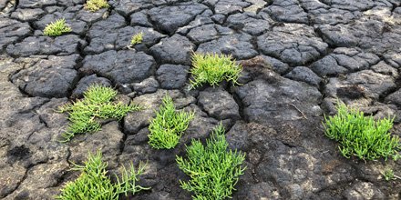 De Zeeuwse gemeenten, <a href="/Scheldestromen/">Zeeuws waterschap</a> en <a href="/provzeeland/">Provincie Zeeland</a> legden in een Klimaatadaptatiestrategie voor Zeeland vast hoe zij samen de negatieve gevolgen van hitte, wateroverlast, droogte en overstromingen willen beperken. Het concept is klaar. Meer weten? bit.ly/3aisQaB