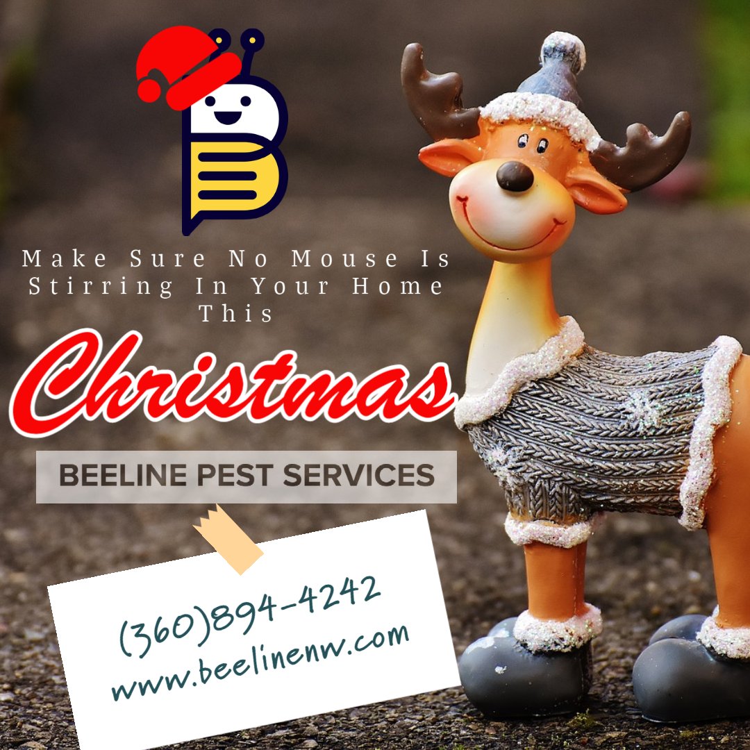 Beelinenw's tweet photo. Have a very merry and pest free Christmas with Beeline Pest Services. Call for a free quote today. (360)894-4242 or visit https://t.co/3yjmuycnTN https://t.co/g8iNFfRsdW