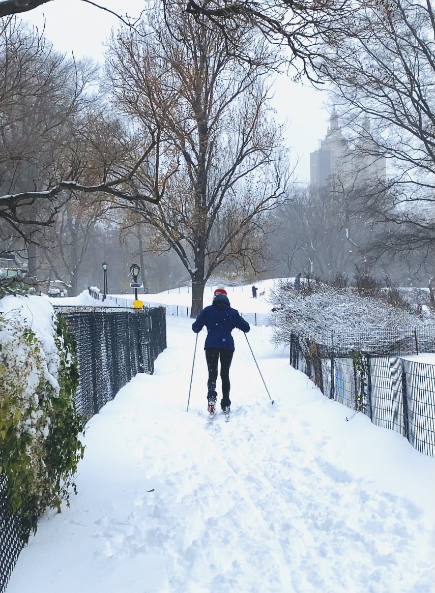 a snowy central park