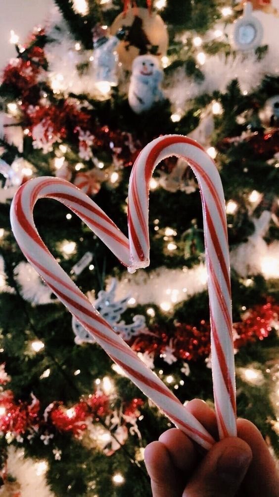 🎄НОВОГОДНЯЯ ЦЕПОЧКА ТВИТТЕРСКИХ🎄

✨Делай рт

✨Читай меня (я взаимная)

✨Читай ретвитнувших

✨Будь счастлив

* шутка про 0 рт *

#ЦепочкаФолловеров
#Цепочкатвиттерских
#Взаимно
