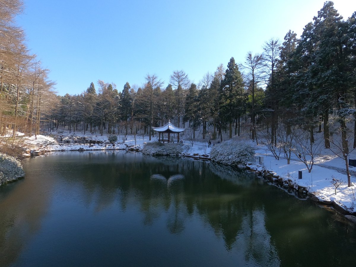 TraderWu's tweet photo. 下雪了 https://t.co/IWgYNI7Qnn