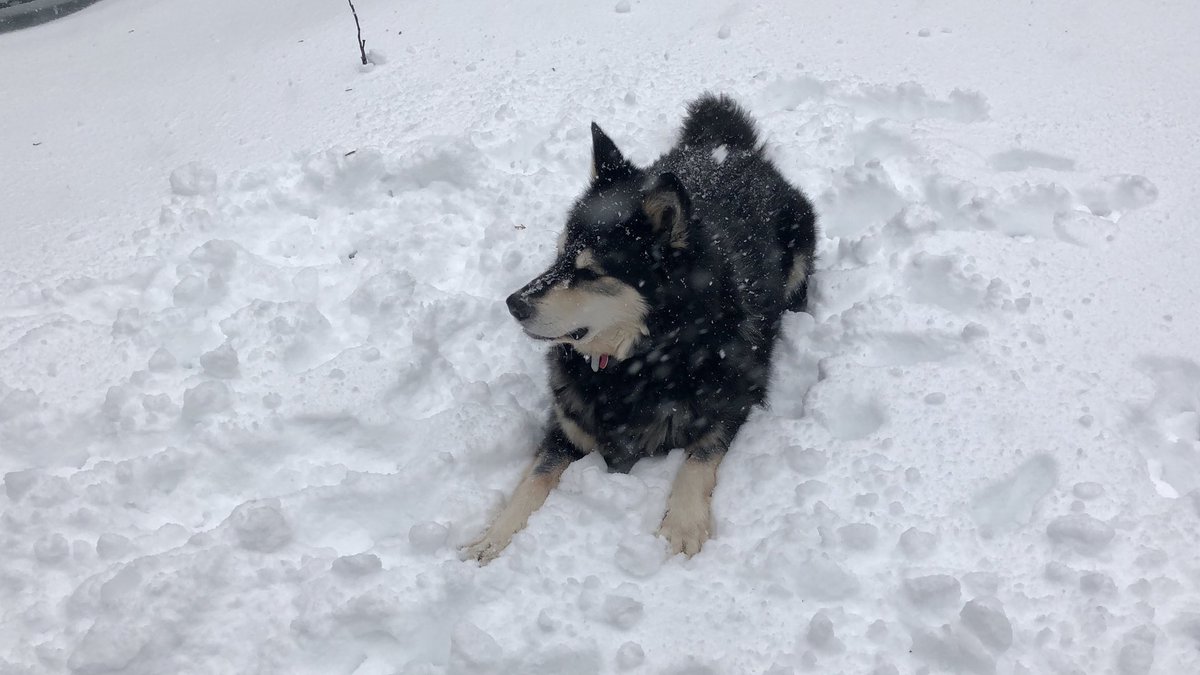 Thank you, #WinterStormGail