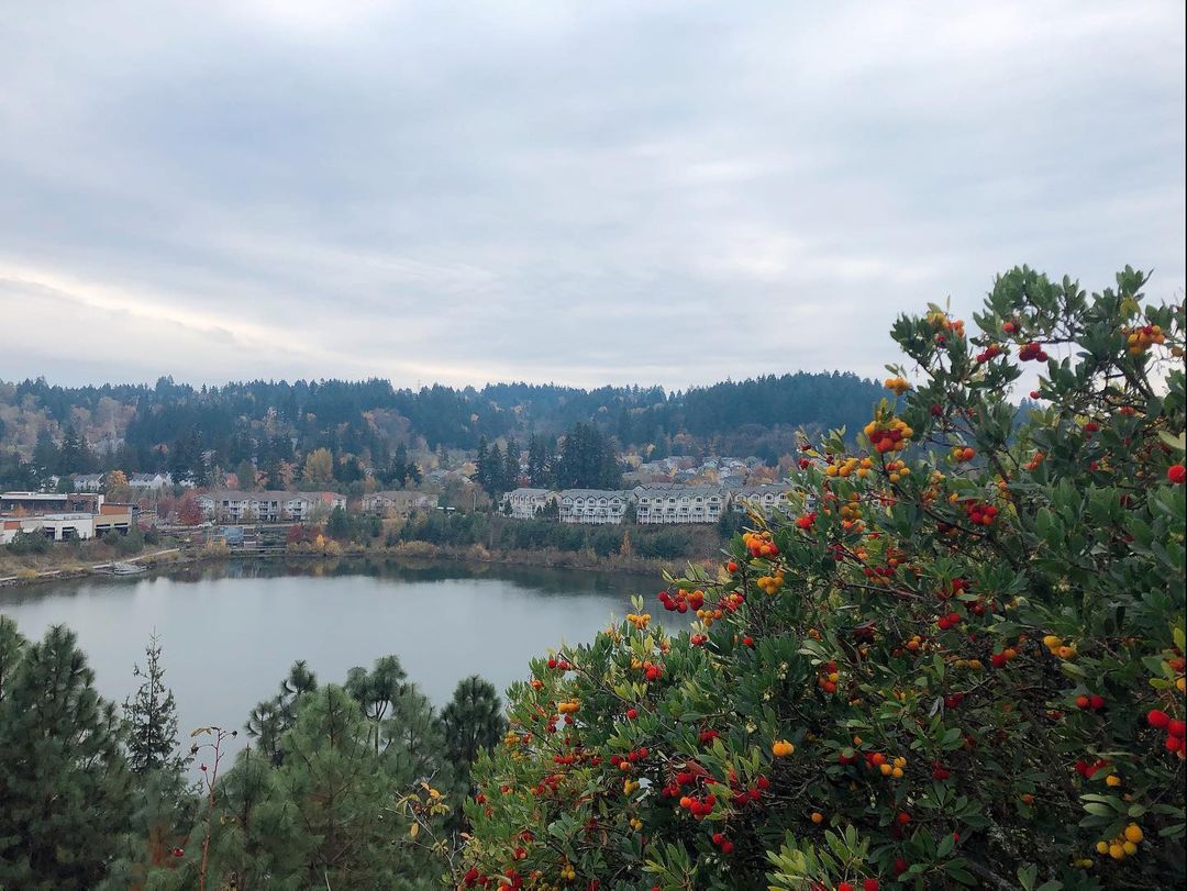 ProgressRidgeTS's tweet photo. The view of Progress Lake looks good year-round  😍  Enjoy a walk around #ProgressRidge for fresh air!
📷: @authorermichaels https://t.co/TfmBpdZ8cS