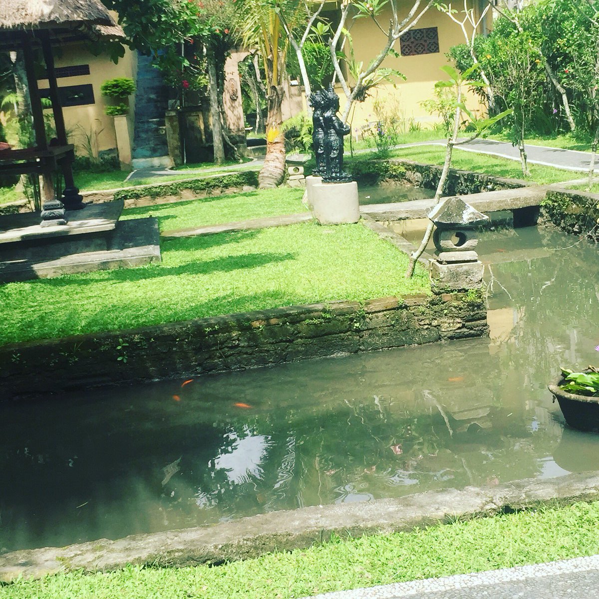 RejonGuestHouse's tweet photo. All is about greatest 🥂 #rejonguesthouseubud #rejonguesthouseubudbali #redjonguesthouse #ubud #bali  #placeforstayinubud #placetostayinbali https://t.co/OYX6x2jpPX