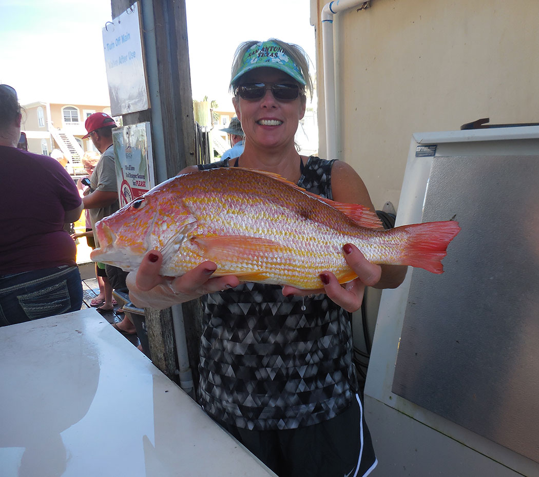 ReelSurprise's tweet photo. Fish Fact: Most lane snappers weigh less than a pound but anglers can catch up to a five pound fish in deeper waters. #tbt #reserveyourcharter #orangebeachfishing #orangebeachcharters #OrangeBeachFish #shareyourfishingphotos #customizedcharters #familyfishing #fallfishing https://t.co/YV61d0DRrF