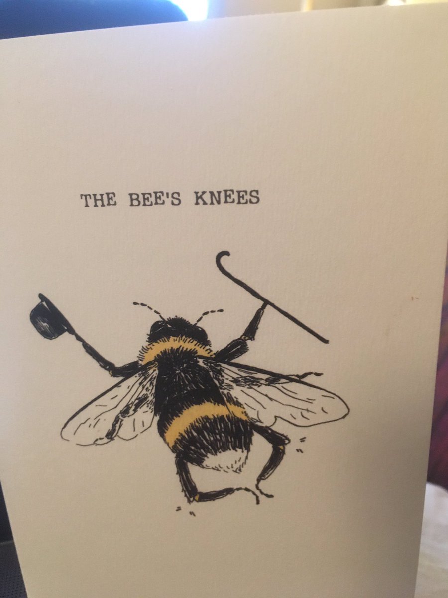 hehoyle1's tweet photo. Delighted the @UWEBristol  #FET faculty executive recognises the #value of #wildflowers #meadows for #people &amp; #pollinators! Merry #Christmas Let’s try to #bee #happy @UWE_SPE @emarco14 @nickpsmith77 @DanniSinnett @AmandaJCoffey @hobbs_catherine @hallsg @DeanLBell @DrKatieMcC https://t.co/bWOHpyPNfg