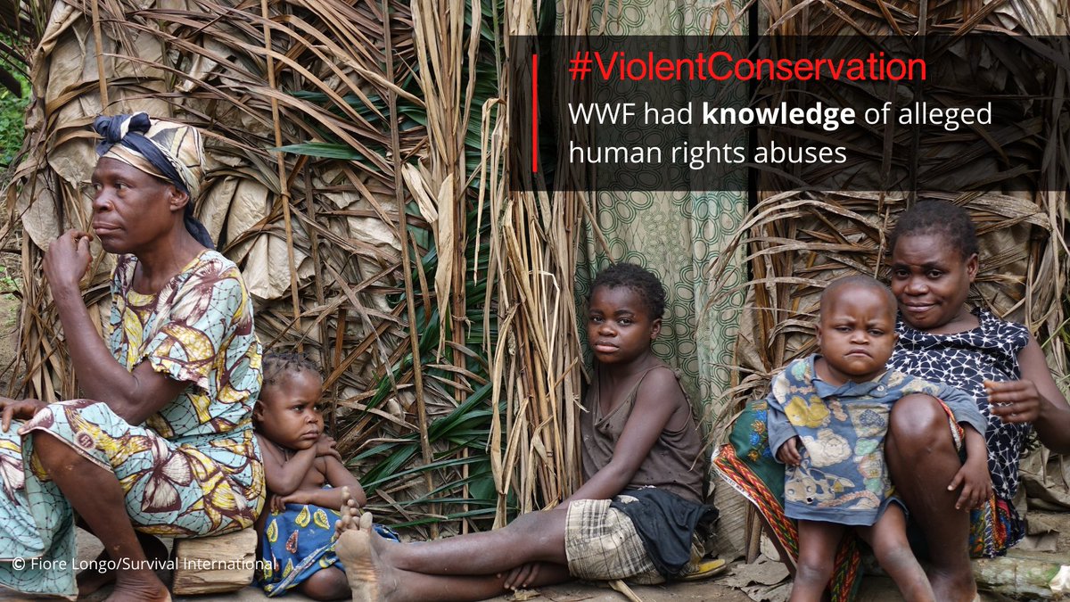 FINDING 1: In *EVERY* protected area under review,  @WWF knew about alleged human rights abuses by ecoguards, some of which include murder, rape and torture.(Note: Panel investigated 10 protected areas in  #Cameroon,  #CAR,  #DRC, Republic of  #Congo,  #Nepal and  #India) [2/6]