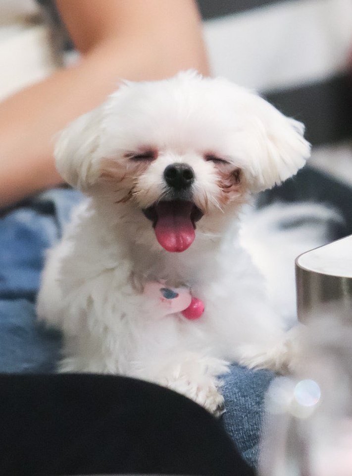 naam_chon's tweet image. พ่อยังไม่เซ็นรับรองบุตรเลยค่ะ