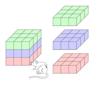 MathCEP's tweet image. In this week&apos;s math problem, our mouse isn&apos;t just stirring; he&apos;s trying to eat his way to the center cube of cheese!🐁🧀🤫Use your spatial reasoning to map a path for him to get to the center, leaving no cube uneaten. For details or a hint, visit: z.umn.edu/mathcepblog #mathcep