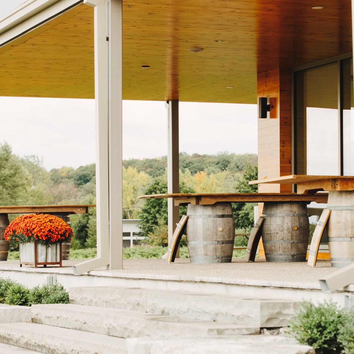 redtag.ca (@redtagca) on Twitter photo The winner of Prize 2 can safely indulge in Niagara’s wine scene with <a href="/NiagaraAirbus/">Niagara Airbus</a> 🍇 Enjoy the views while sipping on some of #NOTL finest wines including <a href="/InniskillinWine/">Inniskillin</a> <a href="/Pillitteriwines/">Pillitteri Winery</a> and <a href="/RavineVineyard/">Ravine Vineyard</a>
SIGN UP HERE: ow.ly/F67l50CJ6tk
#HomefortheHolidays The winner of Prize 2 can safely indulge in Niagara’s wine scene with <a href="/NiagaraAirbus/">Niagara Airbus</a> 🍇 Enjoy the views while sipping on some of #NOTL finest wines including <a href="/InniskillinWine/">Inniskillin</a> <a href="/Pillitteriwines/">Pillitteri Winery</a> and <a href="/RavineVineyard/">Ravine Vineyard</a>
SIGN UP HERE: ow.ly/F67l50CJ6tk
#HomefortheHolidays 