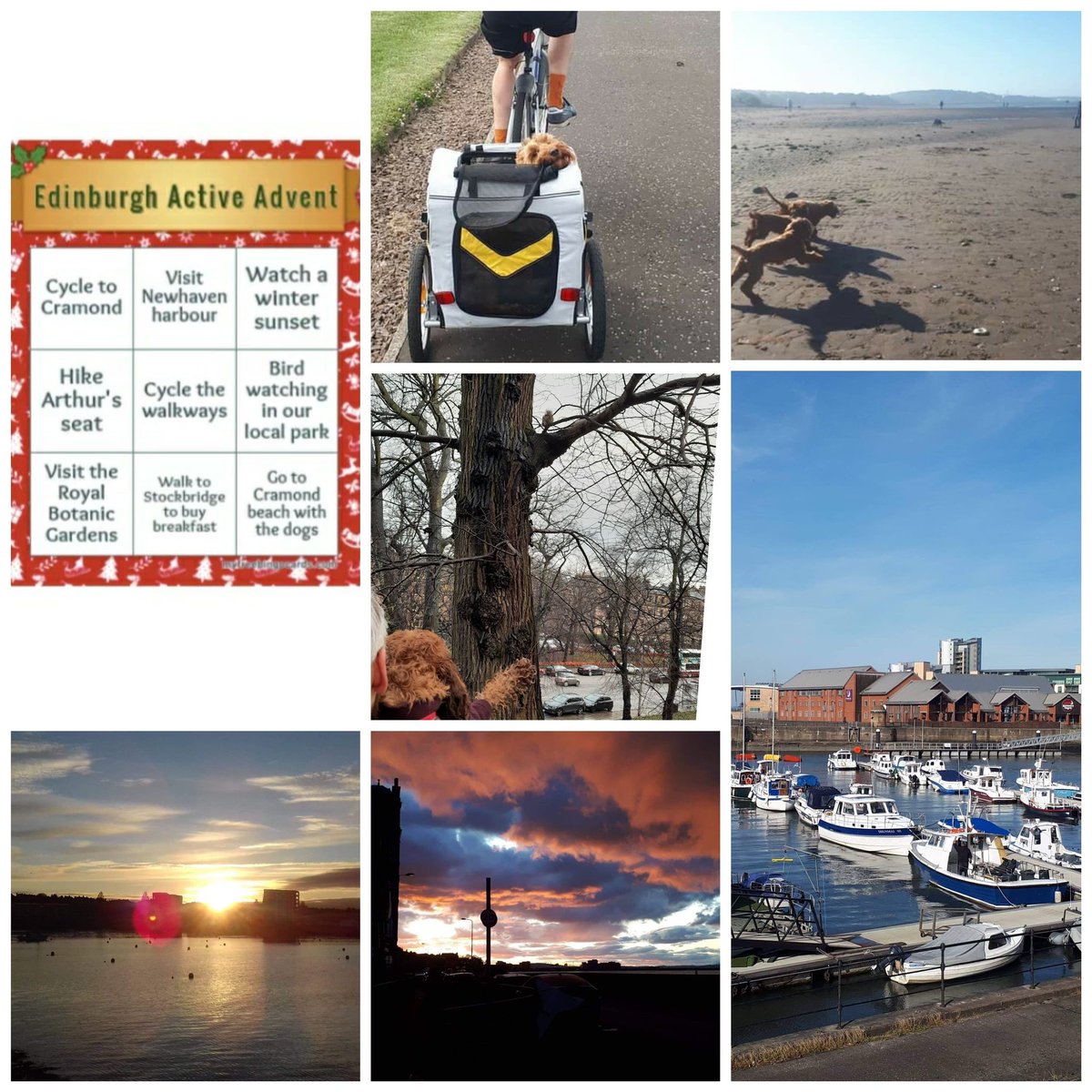 Edinburgh_CC's tweet photo. We were impressed by this collage from Daisy, who responded to our challenge to play 'active bingo' and won our most recent #EdinburghActiveAdvent photo competition! Find out what else we've got coming up, and how you can take part: https://t.co/UErXLBvNEa @SustransScot https://t.co/e772d33GIN