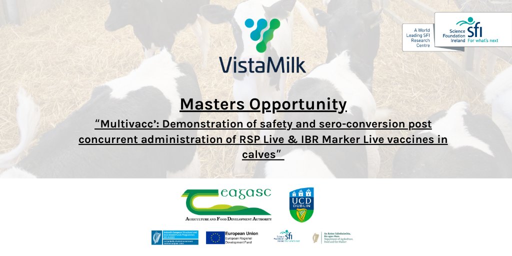 VistaMilk's tweet photo. An exciting opportunity within @VistaMilk with @teagasc &amp; @ucdvetmed. Check out this latest research position from VistaMilk #jobfairy. Please click the following link for more details https://t.co/745ohUzW8X https://t.co/D8n1MJl4Aq