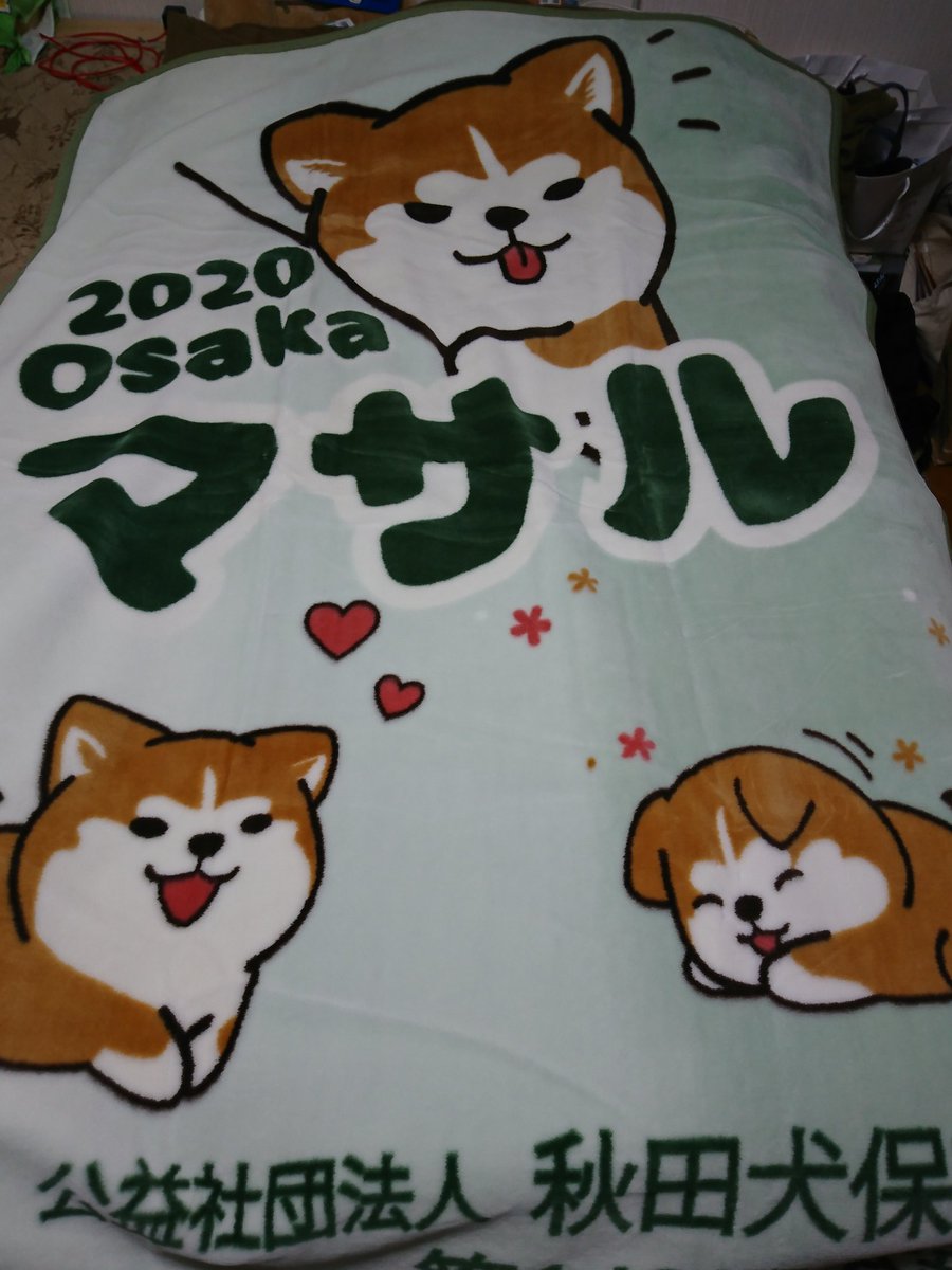 秋田犬グッズ