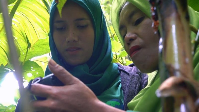 Perempuan Penjaga Hutan Aceh, s.id/PerempuanPenja… Sekelompok ibu-ibu di Kabupaten Bener Meriah, Aceh menjadi penjaga hutan alias ranger. Mereka berpatroli keluar masuk hutan, menghadapi para perambah hutan, dan pelaku penebangan liar.