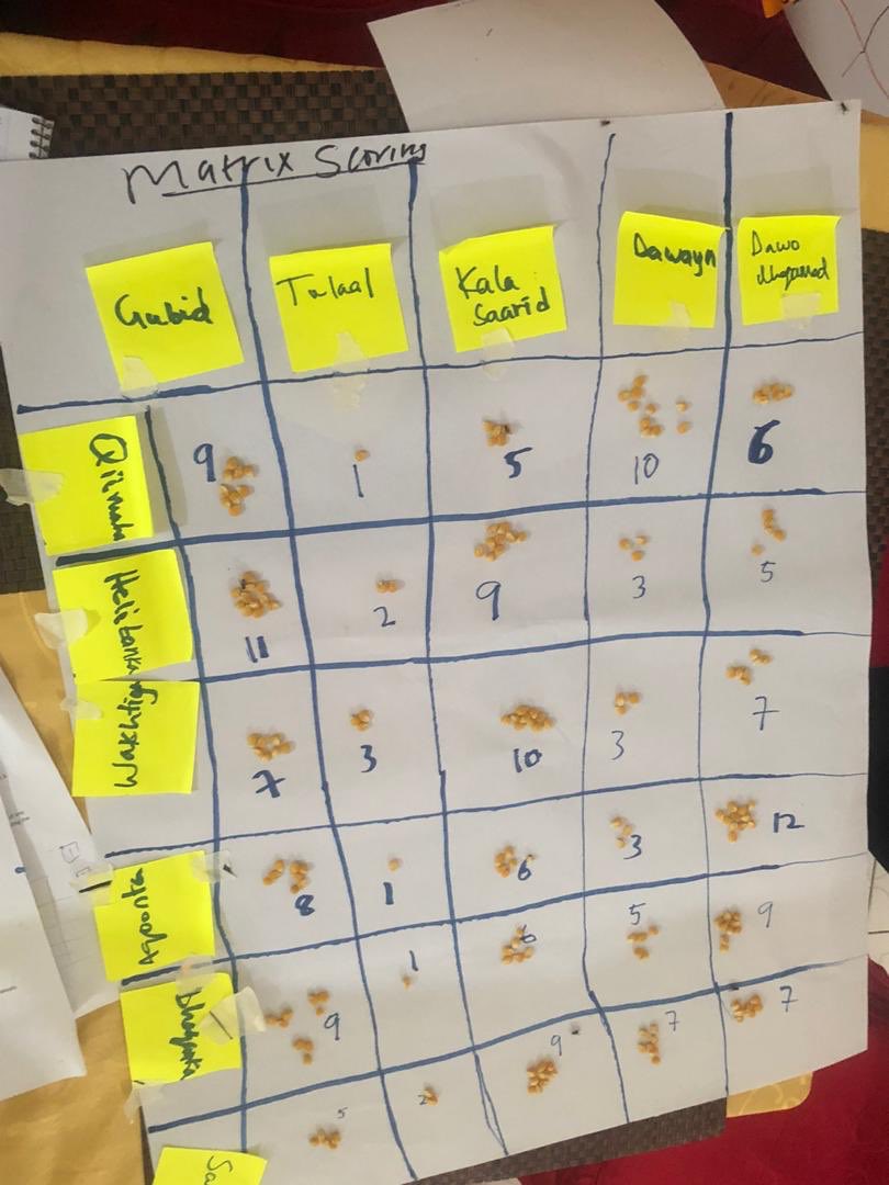FarahIsse's tweet photo. Pleased to conclude Participatory Epi course for these officers from @MoLAH_Puntland. immense experience from the field was shared by them. #VSFGermany https://t.co/uZE2S97yHw