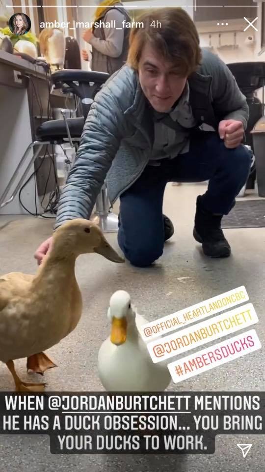 CendonMabel's tweet photo. #Ambersducks π¦π¦π€£π€£π€£
@Amber_Marshall @JordanBurtchett
#iloveheartland @HeartlandOnCBC https://t.co/6lCU2ZxB5F