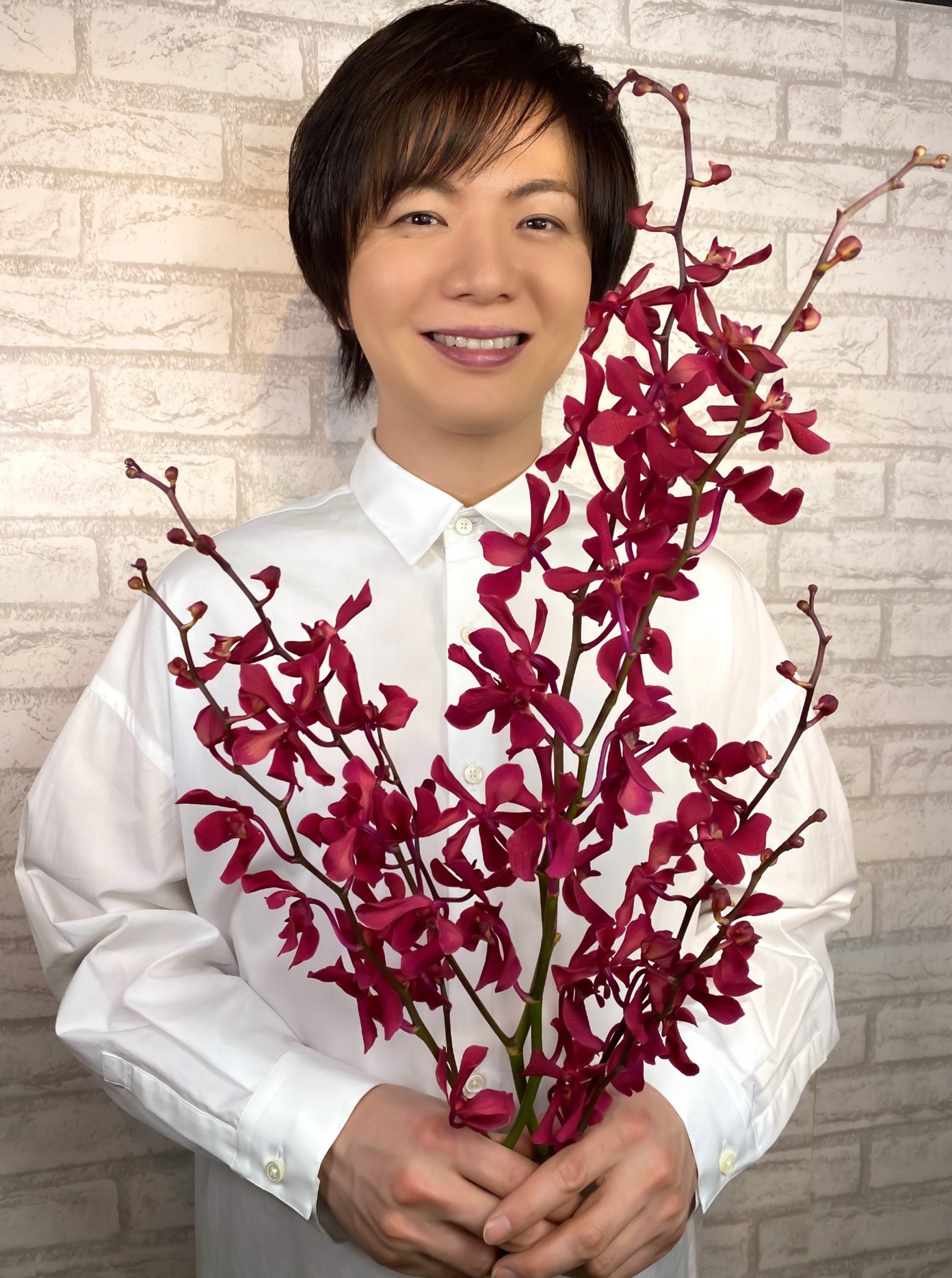 竹島宏スタッフ 公式 アランセラ ジェームスストーリー 花言葉は 熱望 花の女王ラン科の花 次々と赤い花が咲き 乱れる姿が情熱的 赤の物語はつづく 今日も１日お疲れ様でした ひろネット 花便り 花言葉 花を贈ろう 花のパワー 花の