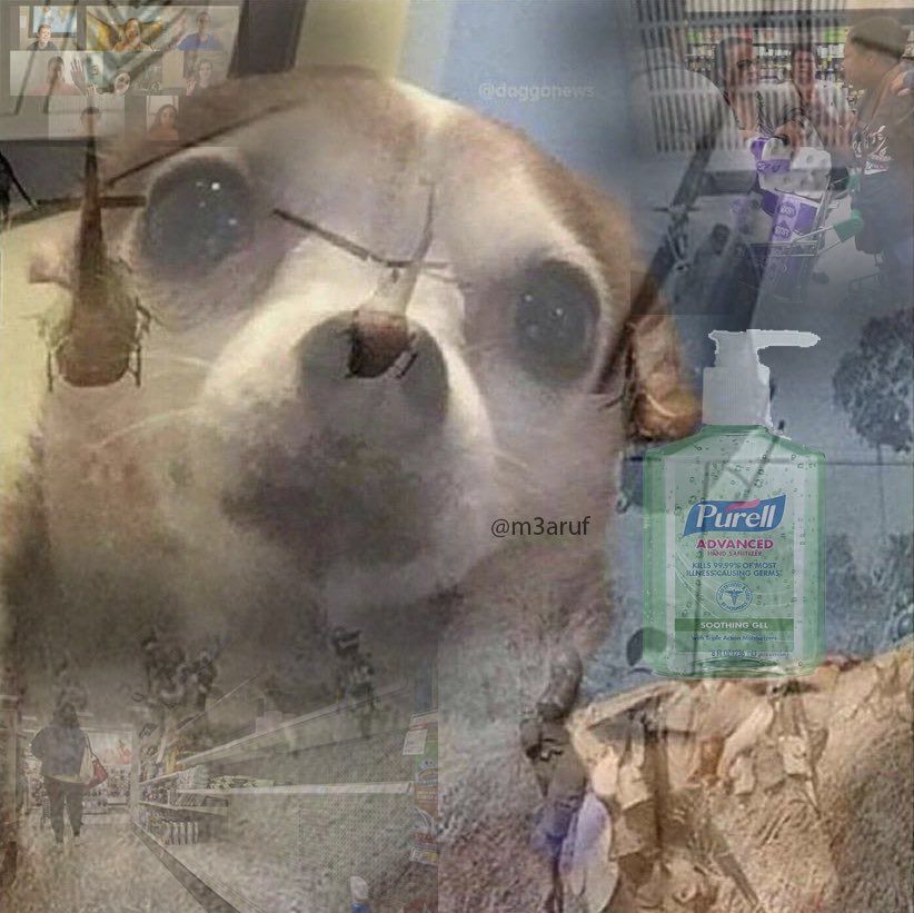 iamrofe's tweet image. *planning my wedding in 10 years*

Cake maker: how many tiers would you like your wedding cake to have? 3?

Me: