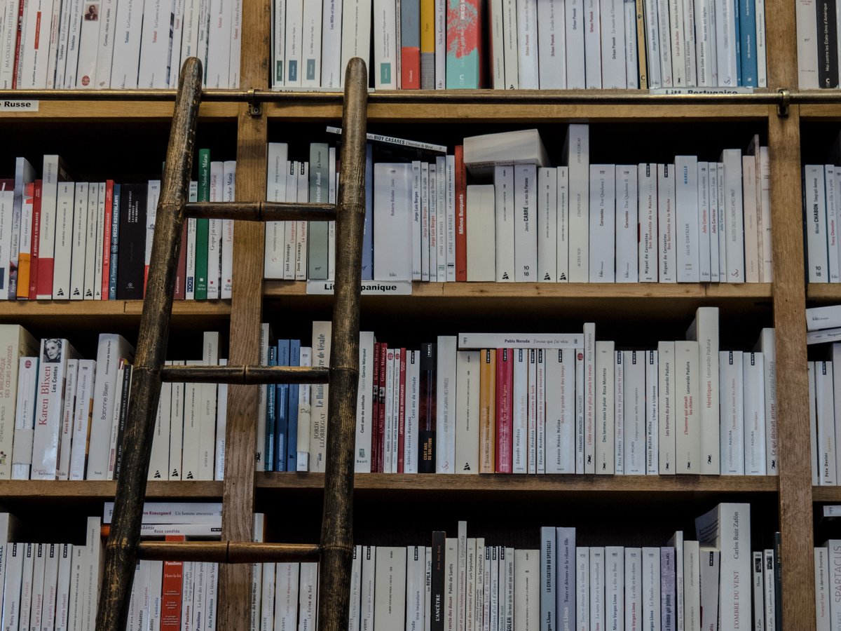 Les librairies près de chez vous vous accueillent à bras ouverts : profitez et foncez pour faire le plein de #livres pour Noël ! 
Retrouvez la liste ici 👉 sauvonsnoslibraires.fr

#sauvonsnoslibraires #librairie #cadeaux