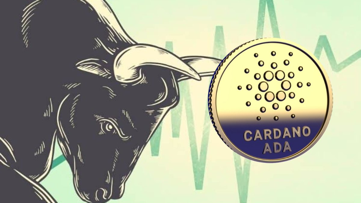 CallumSheehan80's tweet photo. Retweet if you genuinely believe $ADA 🔥 will hit double digits sometime in 2021 💫💫💫 
@CryptoIRELAND1 https://t.co/6hu3W6ZeHJ