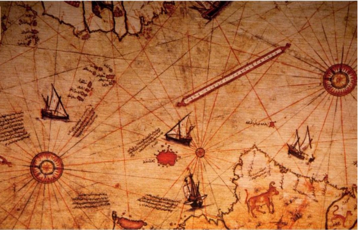 Curly Conspiracies tweet media